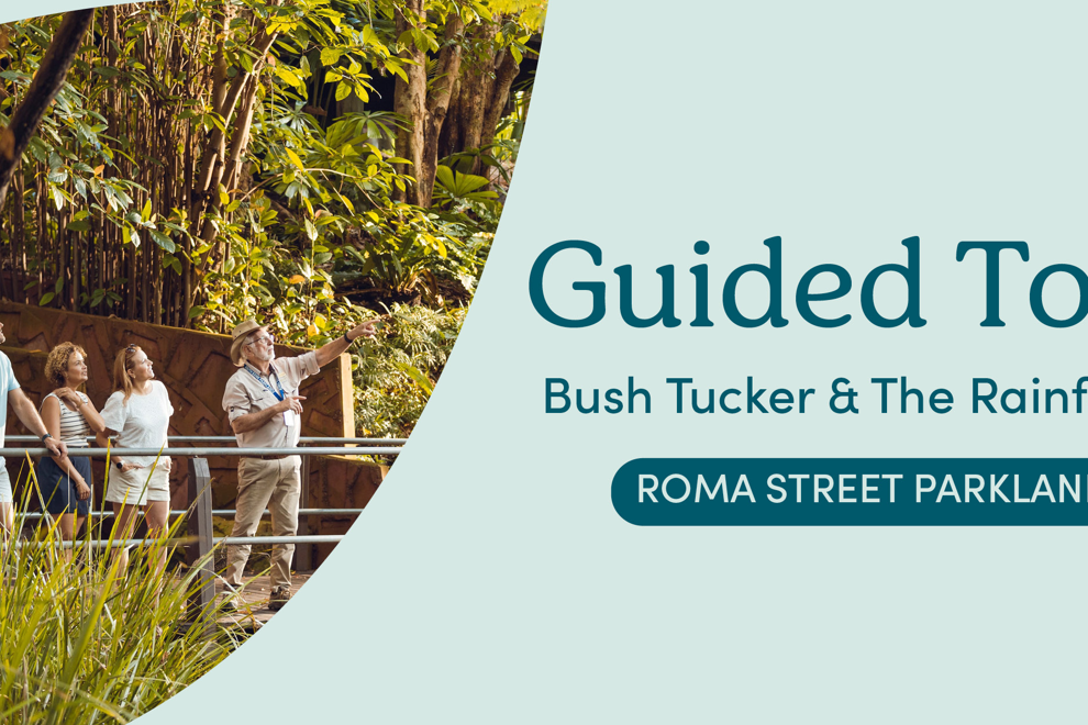 Roma Street Parkland Bush Tucker Guided Tours  - 10AM Wednesday 6th May