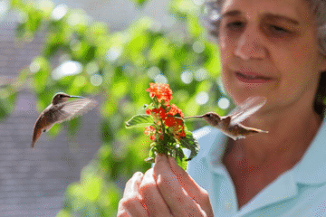 Every Little Thing - The Vision Splendid Outback Film Festival