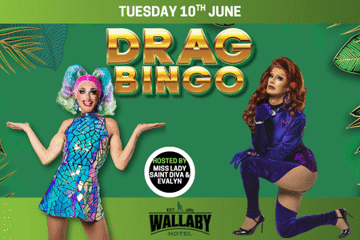 Drag Queen Bingo - Wallaby Hotel