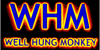 Well Hung Monkey | Album Launch
