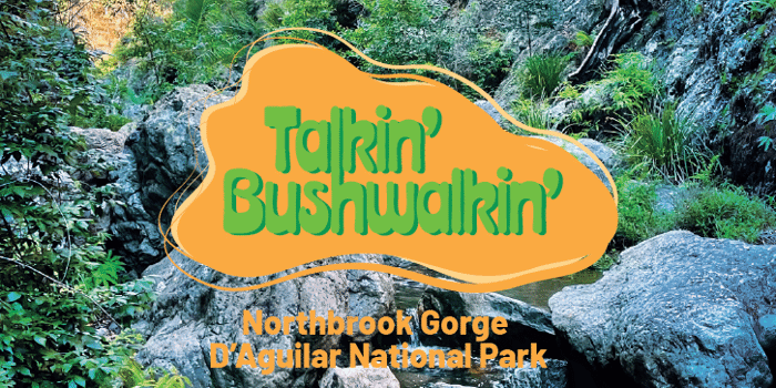 Talkin' Bushwalkin' | Group Water Hole Adventure