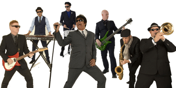 Mod Squad - Woodvale Reception Centre (Live)