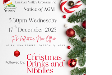 LVG AGM and Christmas Party 2025