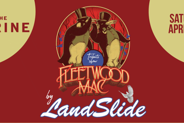 Fleetwood Mac by LandSlide - The Carine