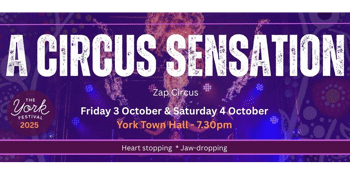 A Circus Sensation