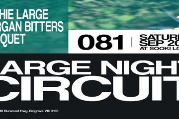 LARGE NIGHT CIRCUIT