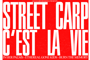 STREET CARP and C'EST LA VIE w/ In Her Palms, Ethereal Gone Kids, & Burn The Memory