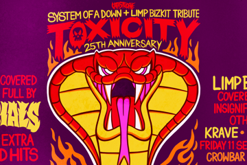System of a Down and Limp Bizkit Tribute