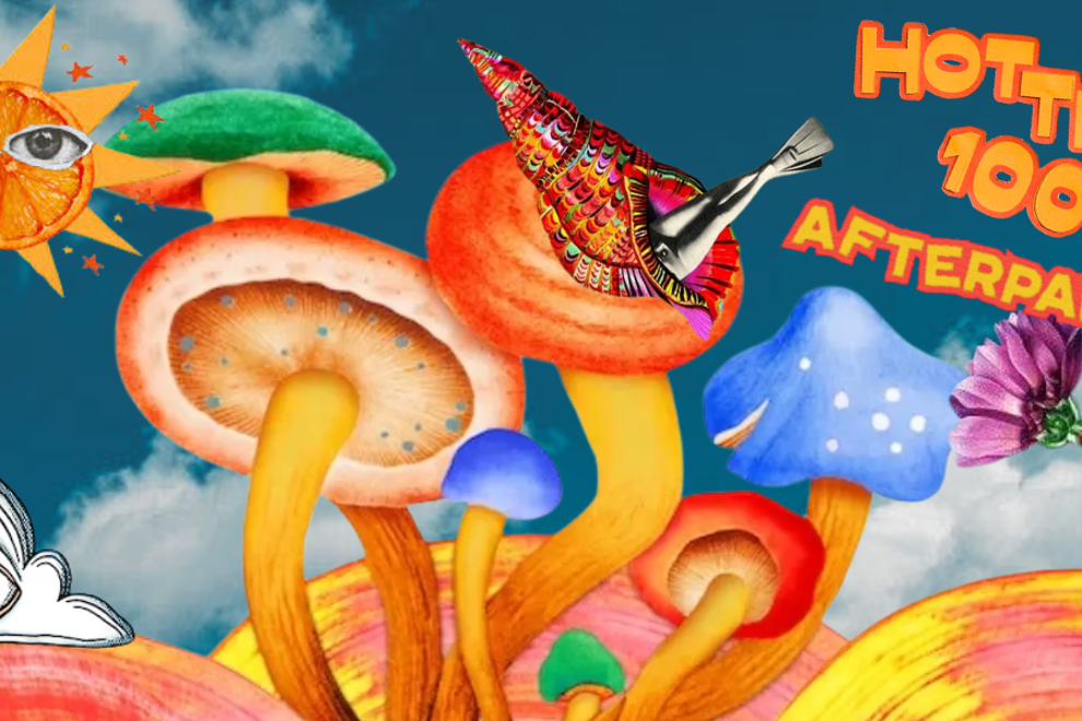 Hottest 100 After Party