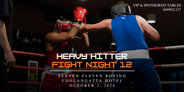 Heavy Hitter Fight Night 12