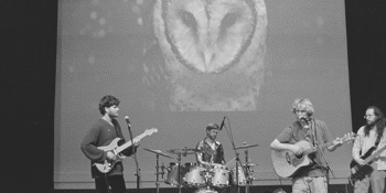 Seal Prince & The Roof Rats
