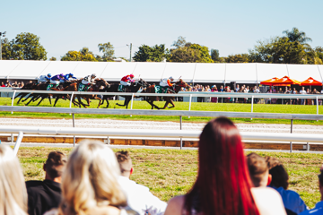 Ipswich Turf Club Race Day - 24th December