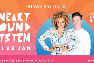 Sneaky Sound System