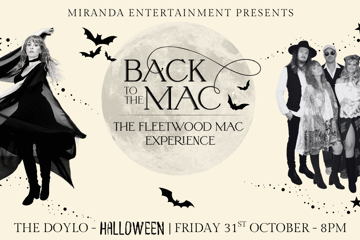 BACK TO THE MAC THE FLEETWOOD MAC EXPERIENCE