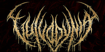 Vulvodynia 'Mob Justice' Australian Tour
