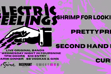 Electric Feelings?Shrimp for Looking At?prettypretty?Second Hand High?Curfew