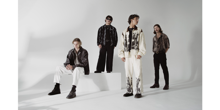 Dice & Letters to Lions