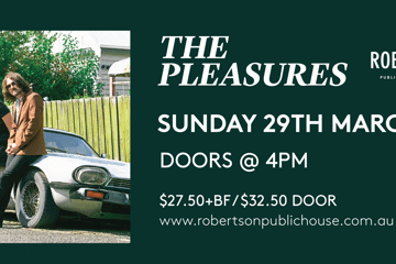 The Pleasures LIVE