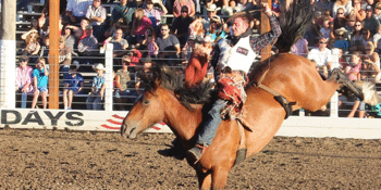 Shepparton Rodeo