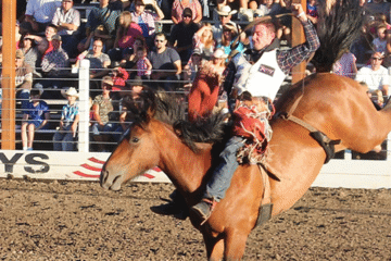 Shepparton Rodeo