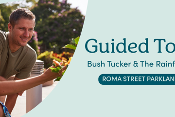 Bush Tucker Tours - 10AM Thursday 6th August