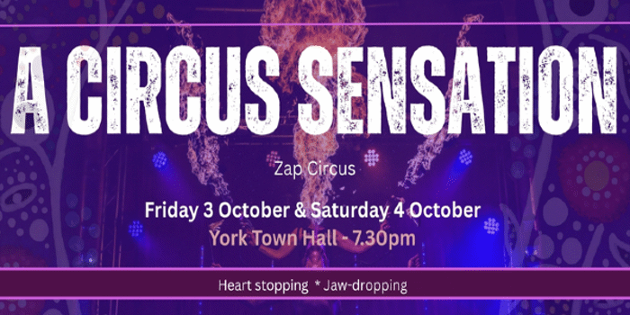 A Circus Sensation