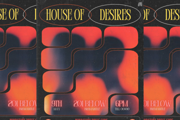 HOUSE OF DESIRES #8