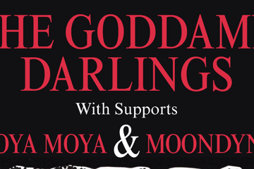 The Goddamn Darlings