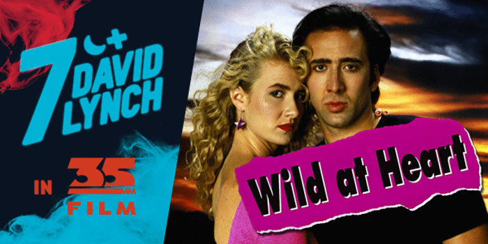 Seven Nights of DAVID LYNCH: WILD AT HEART (R 18+) Presented in 35mm