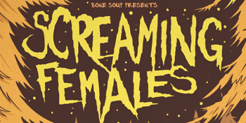 Screaming Females (USA)