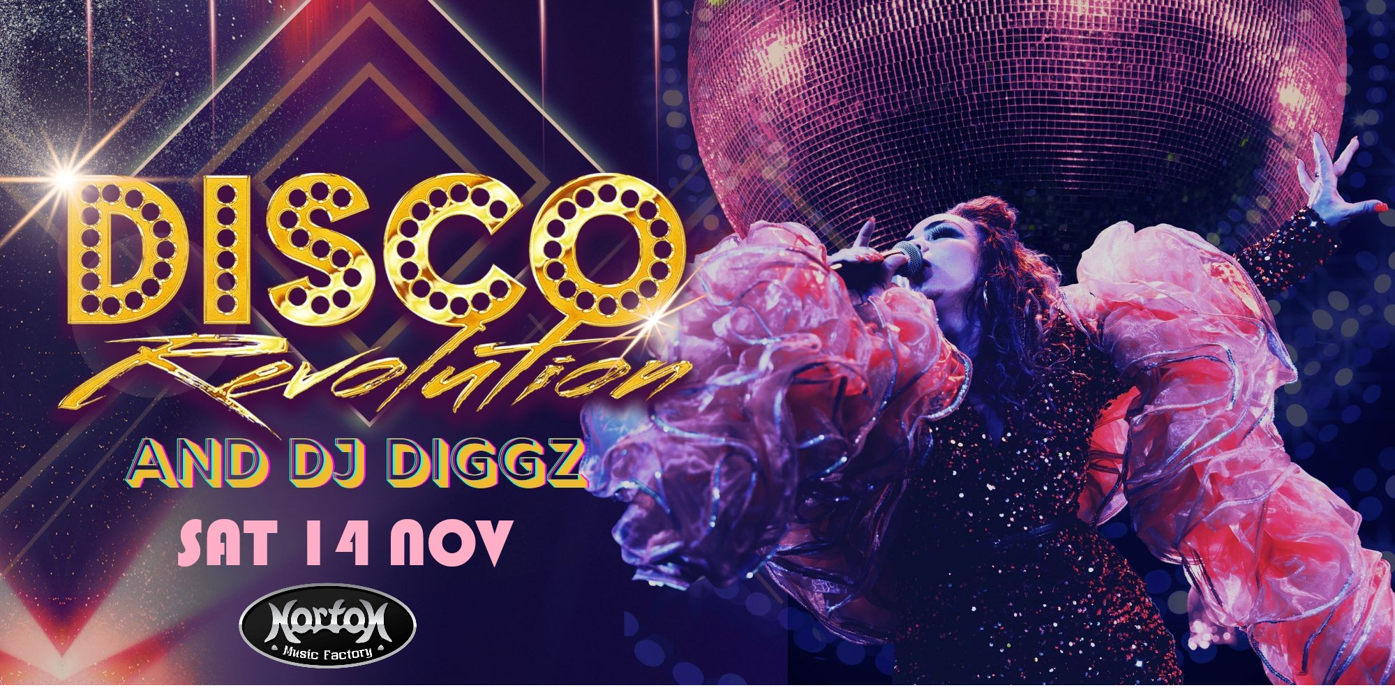DISCO REVOLUTION & DJ DIGGZ present…  THE ULTIMATE DANCE PARTY EXPERIENCE