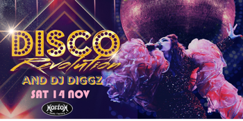 DISCO REVOLUTION & DJ DIGGZ present…  THE ULTIMATE DANCE PARTY EXPERIENCE