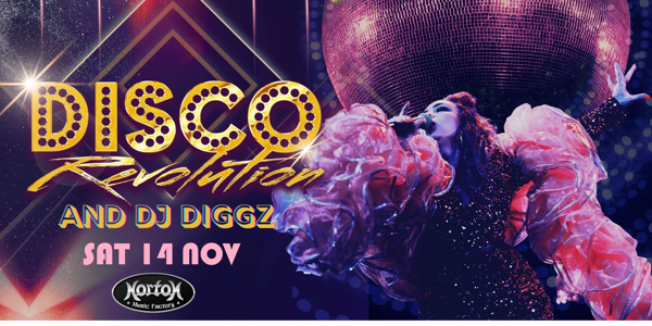 DISCO REVOLUTION & DJ DIGGZ present…  THE ULTIMATE DANCE PARTY EXPERIENCE