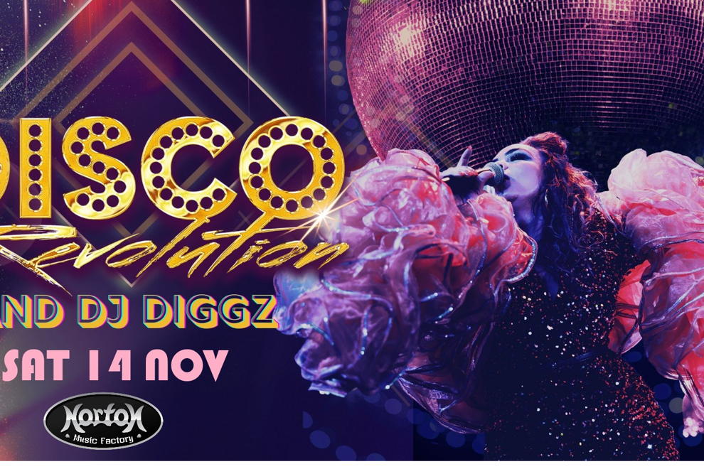 DISCO REVOLUTION & DJ DIGGZ present…  THE ULTIMATE DANCE PARTY EXPERIENCE