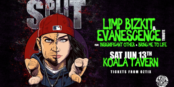 SPLIT: Limp Bizkit & Evanescence Tributes