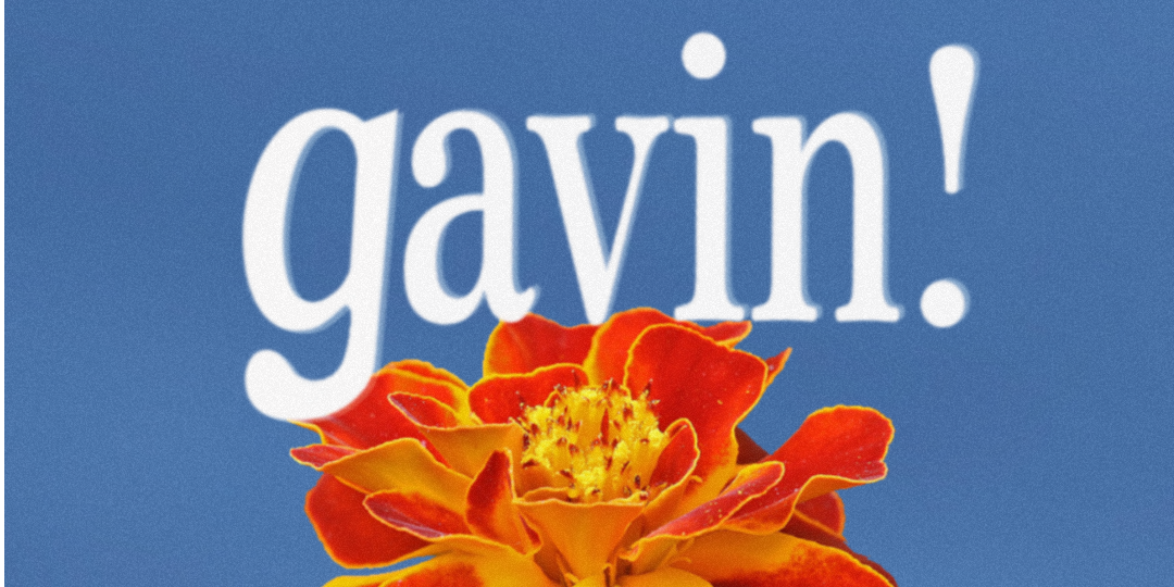 Gavin! ‘It’s All Part’ Album Launch