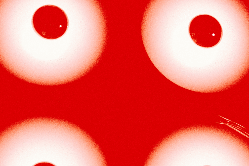 https://assets.oztix.com.au/image/e2de10da-9e17-441a-a49a-bda39a4b67f6.png?width=990&height=660