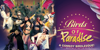 BIRDS of PARADISE: A Comedy Birdlesque!