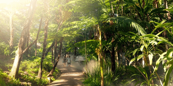 Bush Tucker Experience - Guided Tour and High Tea