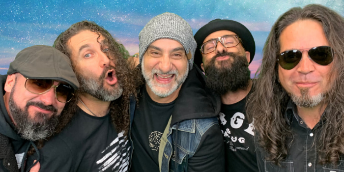 Wolves and Chocolate Bullets