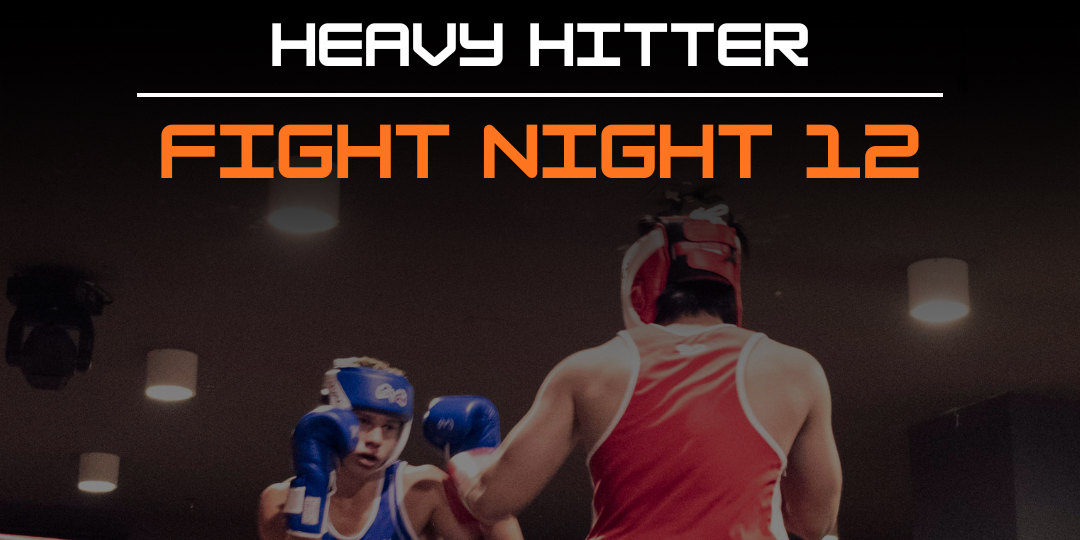 Heavy Hitter Fight Night 12