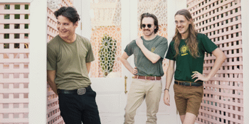 Bugs - Brisbane