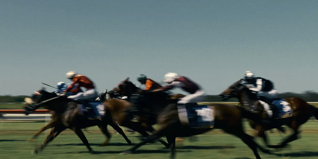 2026 ZZZFM Boxing Day Races