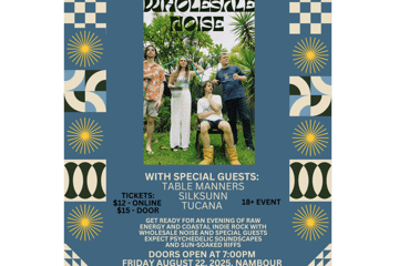 Wholesale Noise + Special Guests