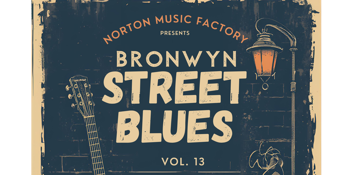 BRONWYN ST BLUES Volume 13 Featuring STEFAN HAUK with special guests The Sam Buckley Band and Barry Charles