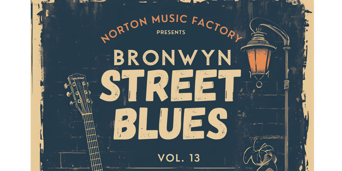 BRONWYN ST BLUES Volume 13 Featuring STEFAN HAUK with special guests The Sam Buckley Band and Barry Charles