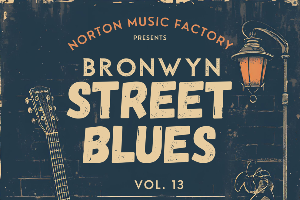 BRONWYN ST BLUES Volume 13 Featuring STEFAN HAUK with special guests The Sam Buckley Band and Barry Charles