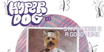 HYPERDOG (EU) w/Stray Dogs 2 Good Homes & Licetrays