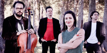 FourPlay String Quartet