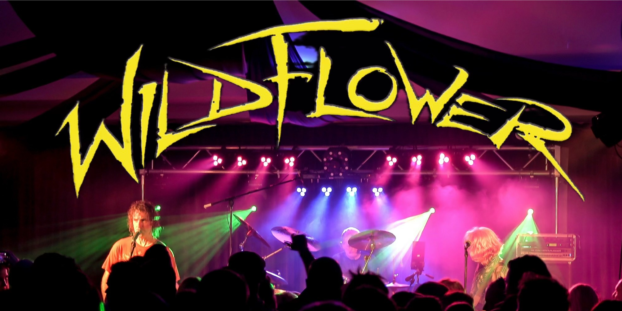 WILDFLOWER